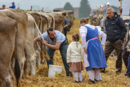 Appenzell, Appenzell Ausserrohden, Autumn, Fall, Herbst, Hundwil, Landwirtschaft, Schweiz, Sennen, Suisse, Switzerland, Tracht, Viehschau, Wirtschaft, tradition