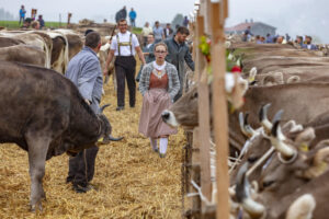 Appenzell, Appenzell Ausserrohden, Autumn, Fall, Herbst, Hundwil, Landwirtschaft, Schweiz, Sennen, Suisse, Switzerland, Tracht, Viehschau, Wirtschaft, tradition