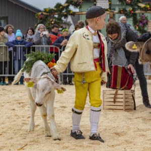 Appenzell, Appenzell Ausserrohden, Autumn, Fall, Herbst, Hundwil, Landwirtschaft, Schweiz, Sennen, Suisse, Switzerland, Tracht, Viehschau, Wirtschaft, tradition