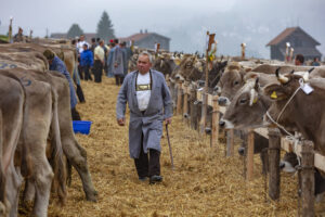 Appenzell, Appenzell Ausserrohden, Autumn, Fall, Herbst, Hundwil, Landwirtschaft, Schweiz, Sennen, Suisse, Switzerland, Tracht, Viehschau, Wirtschaft, tradition