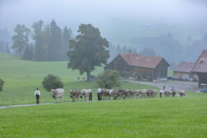 Appenzell, Appenzell Ausserrohden, Autumn, Fall, Herbst, Hundwil, Landwirtschaft, Schweiz, Sennen, Suisse, Switzerland, Tracht, Viehschau, Wirtschaft, tradition