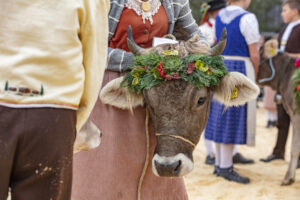 Appenzell, Appenzell Ausserrohden, Autumn, Fall, Herbst, Hundwil, Landwirtschaft, Schweiz, Sennen, Suisse, Switzerland, Tracht, Viehschau, Wirtschaft, tradition