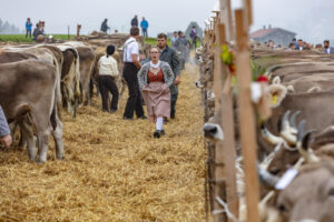 Appenzell, Appenzell Ausserrohden, Autumn, Fall, Herbst, Hundwil, Landwirtschaft, Schweiz, Sennen, Suisse, Switzerland, Tracht, Viehschau, Wirtschaft, tradition