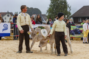 Appenzell, Appenzell Ausserrohden, Autumn, Fall, Herbst, Hundwil, Landwirtschaft, Schweiz, Sennen, Suisse, Switzerland, Tracht, Viehschau, Wirtschaft, tradition