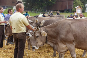 Appenzell, Appenzell Ausserrohden, Autumn, Fall, Herbst, Hundwil, Landwirtschaft, Schweiz, Sennen, Suisse, Switzerland, Tracht, Viehschau, Wirtschaft, tradition
