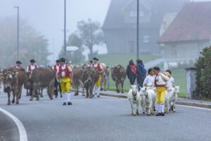 Appenzell, Appenzell Ausserrohden, Autumn, Fall, Herbst, Hundwil, Landwirtschaft, Schweiz, Sennen, Suisse, Switzerland, Tracht, Viehschau, Wirtschaft, tradition