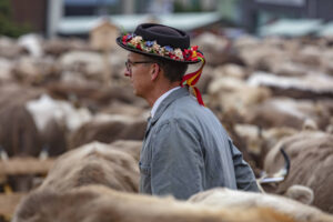 Appenzell, Appenzell Ausserrohden, Autumn, Fall, Herbst, Hundwil, Landwirtschaft, Schweiz, Sennen, Suisse, Switzerland, Tracht, Viehschau, Wirtschaft, tradition