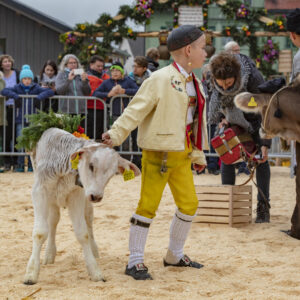 Appenzell, Appenzell Ausserrohden, Autumn, Fall, Herbst, Hundwil, Landwirtschaft, Schweiz, Sennen, Suisse, Switzerland, Tracht, Viehschau, Wirtschaft, tradition