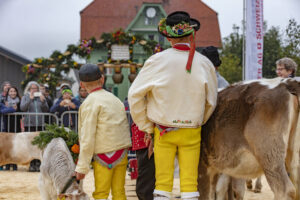 Appenzell, Appenzell Ausserrohden, Autumn, Fall, Herbst, Hundwil, Landwirtschaft, Schweiz, Sennen, Suisse, Switzerland, Tracht, Viehschau, Wirtschaft, tradition