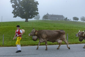 Appenzell, Appenzell Ausserrohden, Autumn, Fall, Herbst, Hundwil, Landwirtschaft, Schweiz, Sennen, Suisse, Switzerland, Tracht, Viehschau, Wirtschaft, tradition