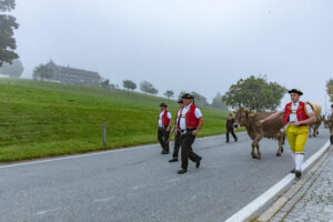 Appenzell, Appenzell Ausserrohden, Autumn, Fall, Herbst, Hundwil, Landwirtschaft, Schweiz, Sennen, Suisse, Switzerland, Tracht, Viehschau, Wirtschaft, tradition