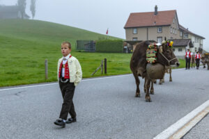 Appenzell, Appenzell Ausserrohden, Autumn, Fall, Herbst, Hundwil, Landwirtschaft, Schweiz, Sennen, Suisse, Switzerland, Tracht, Viehschau, Wirtschaft, tradition