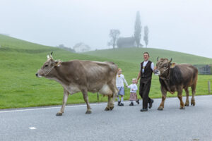 Appenzell, Appenzell Ausserrohden, Autumn, Fall, Herbst, Hundwil, Landwirtschaft, Schweiz, Sennen, Suisse, Switzerland, Tracht, Viehschau, Wirtschaft, tradition