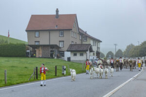 Appenzell, Appenzell Ausserrohden, Autumn, Fall, Herbst, Hundwil, Landwirtschaft, Schweiz, Sennen, Suisse, Switzerland, Tracht, Viehschau, Wirtschaft, tradition