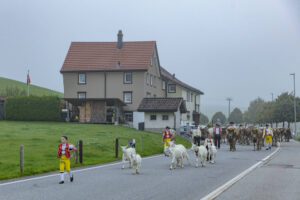 Appenzell, Appenzell Ausserrohden, Autumn, Fall, Herbst, Hundwil, Landwirtschaft, Schweiz, Sennen, Suisse, Switzerland, Tracht, Viehschau, Wirtschaft, tradition