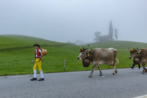 Appenzell, Appenzell Ausserrohden, Autumn, Fall, Herbst, Hundwil, Landwirtschaft, Schweiz, Sennen, Suisse, Switzerland, Tracht, Viehschau, Wirtschaft, tradition