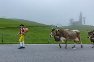 Appenzell, Appenzell Ausserrohden, Autumn, Fall, Herbst, Hundwil, Landwirtschaft, Schweiz, Sennen, Suisse, Switzerland, Tracht, Viehschau, Wirtschaft, tradition