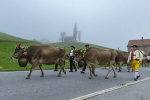 Appenzell, Appenzell Ausserrohden, Autumn, Fall, Herbst, Hundwil, Landwirtschaft, Schweiz, Sennen, Suisse, Switzerland, Tracht, Viehschau, Wirtschaft, tradition