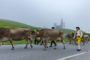 Appenzell, Appenzell Ausserrohden, Autumn, Fall, Herbst, Hundwil, Landwirtschaft, Schweiz, Sennen, Suisse, Switzerland, Tracht, Viehschau, Wirtschaft, tradition