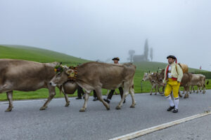 Appenzell, Appenzell Ausserrohden, Autumn, Fall, Herbst, Hundwil, Landwirtschaft, Schweiz, Sennen, Suisse, Switzerland, Tracht, Viehschau, Wirtschaft, tradition