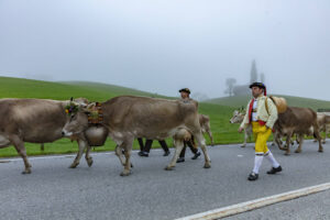 Appenzell, Appenzell Ausserrohden, Autumn, Fall, Herbst, Hundwil, Landwirtschaft, Schweiz, Sennen, Suisse, Switzerland, Tracht, Viehschau, Wirtschaft, tradition