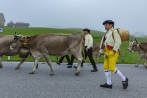 Appenzell, Appenzell Ausserrohden, Autumn, Fall, Herbst, Hundwil, Landwirtschaft, Schweiz, Sennen, Suisse, Switzerland, Tracht, Viehschau, Wirtschaft, tradition