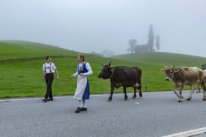 Appenzell, Appenzell Ausserrohden, Autumn, Fall, Herbst, Hundwil, Landwirtschaft, Schweiz, Sennen, Suisse, Switzerland, Tracht, Viehschau, Wirtschaft, tradition