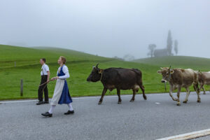 Appenzell, Appenzell Ausserrohden, Autumn, Fall, Herbst, Hundwil, Landwirtschaft, Schweiz, Sennen, Suisse, Switzerland, Tracht, Viehschau, Wirtschaft, tradition