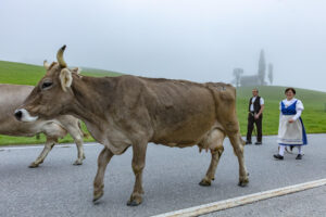 Appenzell, Appenzell Ausserrohden, Autumn, Fall, Herbst, Hundwil, Landwirtschaft, Schweiz, Sennen, Suisse, Switzerland, Tracht, Viehschau, Wirtschaft, tradition