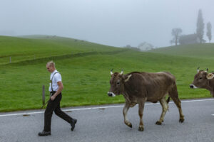 Appenzell, Appenzell Ausserrohden, Autumn, Fall, Herbst, Hundwil, Landwirtschaft, Schweiz, Sennen, Suisse, Switzerland, Tracht, Viehschau, Wirtschaft, tradition