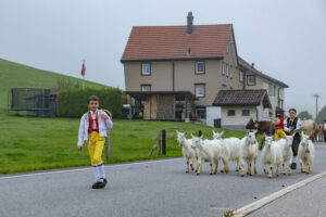 Appenzell, Appenzell Ausserrohden, Autumn, Fall, Herbst, Hundwil, Landwirtschaft, Schweiz, Sennen, Suisse, Switzerland, Tracht, Viehschau, Wirtschaft, tradition