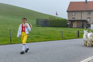 Appenzell, Appenzell Ausserrohden, Autumn, Fall, Herbst, Hundwil, Landwirtschaft, Schweiz, Sennen, Suisse, Switzerland, Tracht, Viehschau, Wirtschaft, tradition