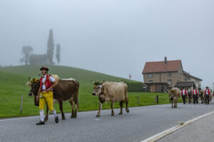 Appenzell, Appenzell Ausserrohden, Autumn, Fall, Herbst, Hundwil, Landwirtschaft, Schweiz, Sennen, Suisse, Switzerland, Tracht, Viehschau, Wirtschaft, tradition