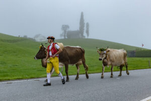 Appenzell, Appenzell Ausserrohden, Autumn, Fall, Herbst, Hundwil, Landwirtschaft, Schweiz, Sennen, Suisse, Switzerland, Tracht, Viehschau, Wirtschaft, tradition