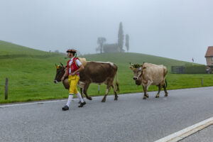 Appenzell, Appenzell Ausserrohden, Autumn, Fall, Herbst, Hundwil, Landwirtschaft, Schweiz, Sennen, Suisse, Switzerland, Tracht, Viehschau, Wirtschaft, tradition