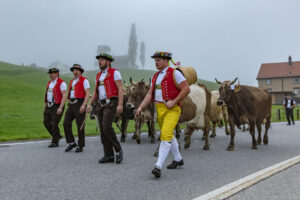 Appenzell, Appenzell Ausserrohden, Autumn, Fall, Herbst, Hundwil, Landwirtschaft, Schweiz, Sennen, Suisse, Switzerland, Tracht, Viehschau, Wirtschaft, tradition