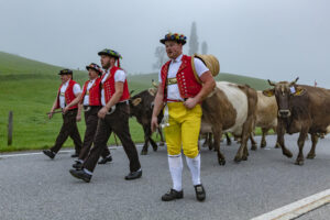 Appenzell, Appenzell Ausserrohden, Autumn, Fall, Herbst, Hundwil, Landwirtschaft, Schweiz, Sennen, Suisse, Switzerland, Tracht, Viehschau, Wirtschaft, tradition