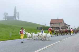 Appenzell, Appenzell Ausserrohden, Autumn, Fall, Herbst, Hundwil, Landwirtschaft, Schweiz, Sennen, Suisse, Switzerland, Tracht, Viehschau, Wirtschaft, tradition