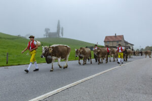 Appenzell, Appenzell Ausserrohden, Autumn, Fall, Herbst, Hundwil, Landwirtschaft, Schweiz, Sennen, Suisse, Switzerland, Tracht, Viehschau, Wirtschaft, tradition