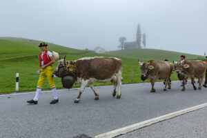 Appenzell, Appenzell Ausserrohden, Autumn, Fall, Herbst, Hundwil, Landwirtschaft, Schweiz, Sennen, Suisse, Switzerland, Tracht, Viehschau, Wirtschaft, tradition