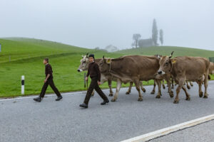 Appenzell, Appenzell Ausserrohden, Autumn, Fall, Herbst, Hundwil, Landwirtschaft, Schweiz, Sennen, Suisse, Switzerland, Tracht, Viehschau, Wirtschaft, tradition