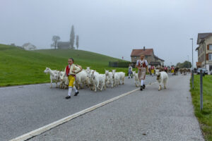 Appenzell, Appenzell Ausserrohden, Autumn, Fall, Herbst, Hundwil, Landwirtschaft, Schweiz, Sennen, Suisse, Switzerland, Tracht, Viehschau, Wirtschaft, tradition