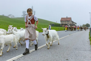 Appenzell, Appenzell Ausserrohden, Autumn, Fall, Herbst, Hundwil, Landwirtschaft, Schweiz, Sennen, Suisse, Switzerland, Tracht, Viehschau, Wirtschaft, tradition