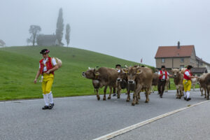 Appenzell, Appenzell Ausserrohden, Autumn, Fall, Herbst, Hundwil, Landwirtschaft, Schweiz, Sennen, Suisse, Switzerland, Tracht, Viehschau, Wirtschaft, tradition