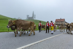 Appenzell, Appenzell Ausserrohden, Autumn, Fall, Herbst, Hundwil, Landwirtschaft, Schweiz, Sennen, Suisse, Switzerland, Tracht, Viehschau, Wirtschaft, tradition