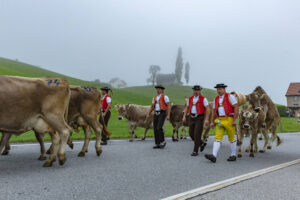 Appenzell, Appenzell Ausserrohden, Autumn, Fall, Herbst, Hundwil, Landwirtschaft, Schweiz, Sennen, Suisse, Switzerland, Tracht, Viehschau, Wirtschaft, tradition