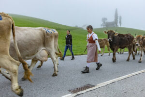 Appenzell, Appenzell Ausserrohden, Autumn, Fall, Herbst, Hundwil, Landwirtschaft, Schweiz, Sennen, Suisse, Switzerland, Tracht, Viehschau, Wirtschaft, tradition