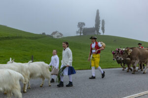 Appenzell, Appenzell Ausserrohden, Autumn, Fall, Herbst, Hundwil, Landwirtschaft, Schweiz, Sennen, Suisse, Switzerland, Tracht, Viehschau, Wirtschaft, tradition