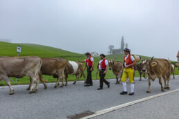 Appenzell, Appenzell Ausserrohden, Autumn, Fall, Herbst, Hundwil, Landwirtschaft, Schweiz, Sennen, Suisse, Switzerland, Tracht, Viehschau, Wirtschaft, tradition