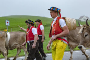 Appenzell, Appenzell Ausserrohden, Autumn, Fall, Herbst, Hundwil, Landwirtschaft, Schweiz, Sennen, Suisse, Switzerland, Tracht, Viehschau, Wirtschaft, tradition